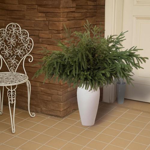 12 Pcs 30 Inch Artificial Norfolk Pine Stems Faux Christmas Greenery Pine Branches Realistic Fake Evergreen Cedar Pine Picks Winter Greens for Vase DIY Garland Wreath Holiday Home Decor