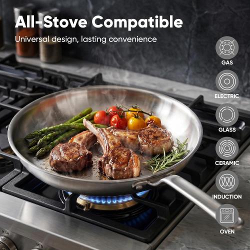 10 5-Ply Stainless Steel Frying Pan | dual aluminum core, uncoated surface, oven & broiler safe 800°F, induction ready, dishwasher safe, searing & family meals