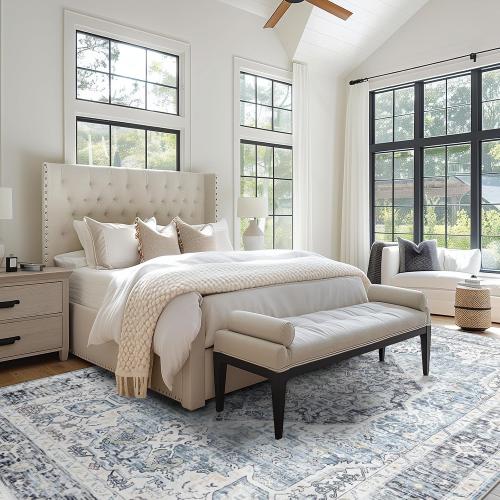 Area Rug 5×7, Vintage Boho Rug,Ultra-Soft Low Pile, Washable, Non Slip,Stain Resistant Printed Carpet for Living Room Bedrooms Playroom Office Kitchen, Light Blue