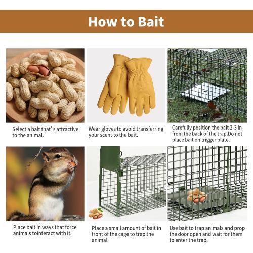 40” 2 Door Live Animal Trap, Easy Set and Release Animal Trap, Live Animal Trap Cage for catching Stray Cats, Raccoons, Squirrels, Rabbits, Moles, Groundhogs, Armadillos up to 17.6 lbs