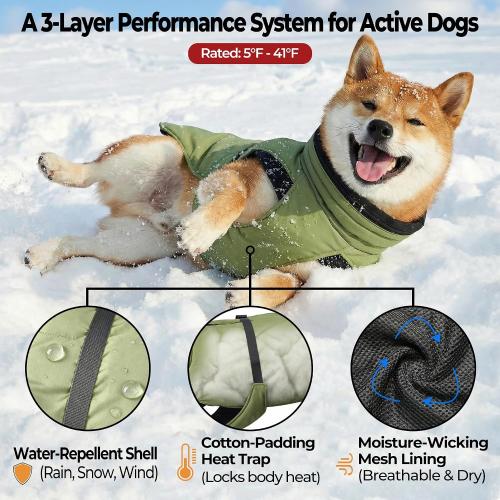 Dog Winter Puffer Coat, Water-Repellent (Green, Medium) | Breathable mesh lining with fur-safe buckle, leash hole, reflective strips and anti-slip leg straps