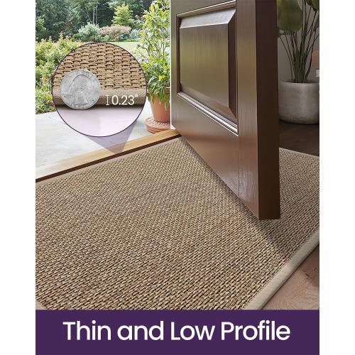 DEXI Ultra Thin Entryway Indoor Door Mat 32x48, Non Slip Rubber Backing Inside Entry Mat, Low Profile Easy Clean Dirt Trapper Doormat for Inside Entrance Patio, Beige