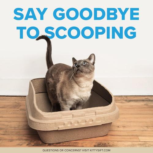 Kitty Sift (Set of 1 Litter Box & 5 Sifting Liners) Disposable Sifting Cat Litter Box Large, 6 Count, Durable Portable for Travel and Home Odor Control