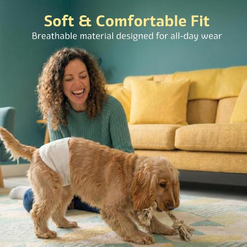 Maximum Absorbency Male Dog Diapers - Leak-Proof Disposable Male Dog Wraps- FlashDry Gel Technology, Wetness Indicator Doggie Diapers- Belly Wraps for Incontinence & Training (50 Pack, Small)