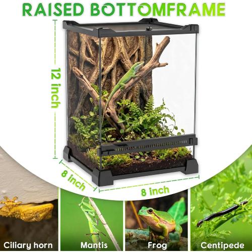 8x8x12 Reptile Terrarium, Single-Door Glass Arboreal Vivarium for Small Arboreal Lizards Such as Small Day Geckos, with Lock, Cable Port & Waterproof Deep Base Below Front Door