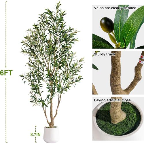 6ft Faux Olive Tree with White Pot & Moss, Artificial Olive Tree Indoor Outdoor, PE/PVC Leaves, Realistic Resin Trunk Large Fake Olive Tree Artificial Plants Indoor, Faux Plants Indoor for Home Decor