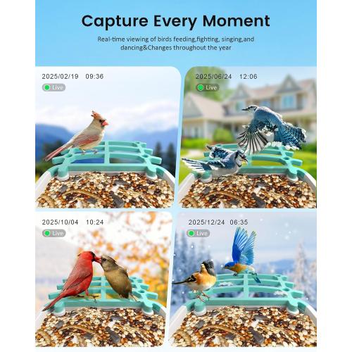 Color Blue Smart Bird Feeder Camera (Dual Panel), Solar Powered, Identify 11,000  Birds with AI, Auto Capture & Notify, 2K HD Footage, Outdoor Bird Watching, Ideal Gift for Birds Lovers.