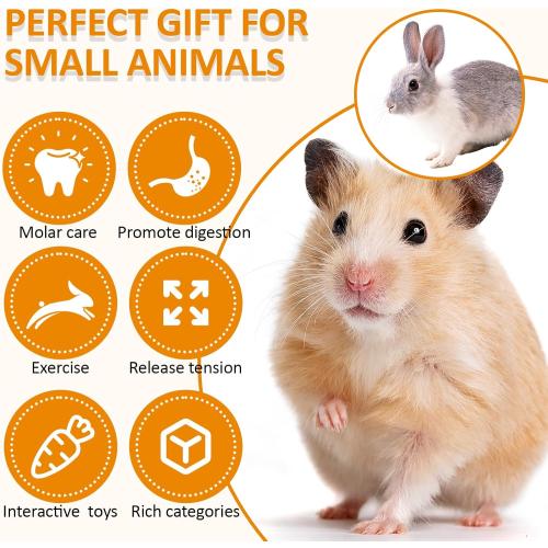VESPRO Hamster Toys Set, Guinea Pig Toys Small Animal Chewing Toy and Rat Cage Accessories, Chinchillas, Gerbils, Rats, Rabbit Rodents Teeth Care, Apple Wood Timothy Hay Mouse Toy Swing Seesaw Bridge