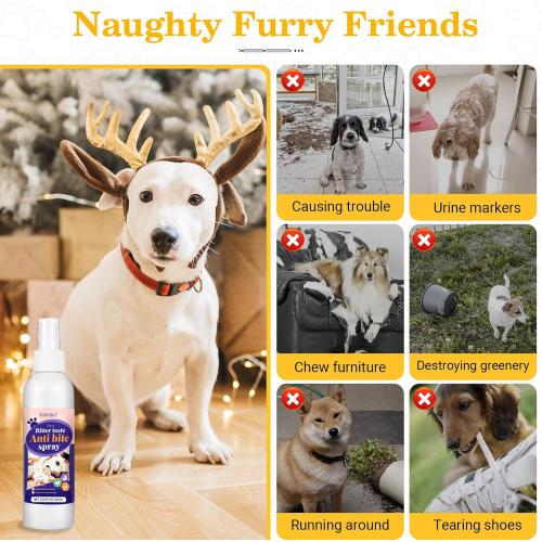 No Chew Spray for Dogs, Bitter Apple Spray for Dogs to Stop Chewing, Effective Indoor/Outdoor Deterrent Training Corrector for Anti-Scratch, Anti Marking, Furniture Protection (1 Pcs)