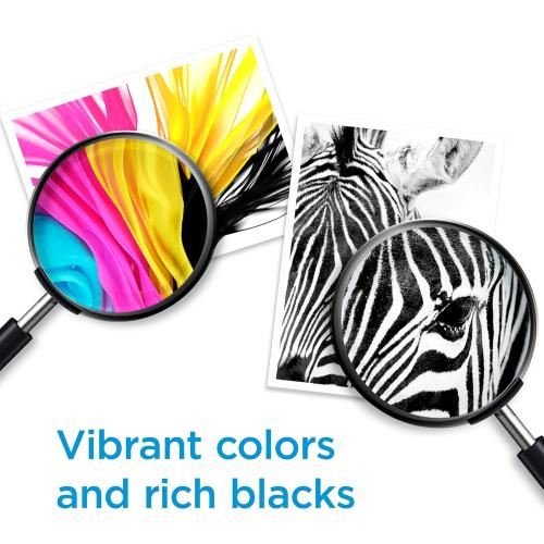 HP Original 951 Cyan, Magenta, Yellow / 950XL Black Ink Cartridges (4-Pack) | Works OfficeJet 8600 Series OfficeJet Pro 251dw, 276dw, 8100, 8600 Series | Eligible for Instant Ink | C2P01FN