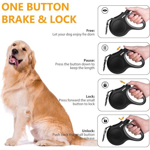 Fida Retractable Dog Leash with Dispenser and Poop Bags, 16 ft Pet Walking Leash for Small Dog or Cat up to 26 lbs, Anti-Slip Soft Handle, Tangle Free, Reflective Nylon Tape (S, Black)