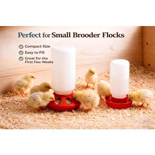 Baby Chick Feeder and Waterer Set, 1 Quart Poultry Starter Kit