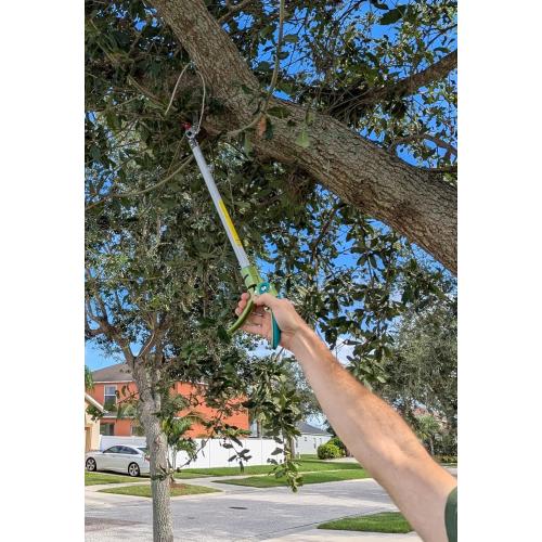 GARTOL 32 Inch Cut and Hold Pole Pruner - Lightweight Long Reach Tree Trimmer with Snip and Grip Technology, 1/2 Inch Cutting Capacity, One-Hand Use Fruit Picker for Roses, Persimmons & Tall Branches