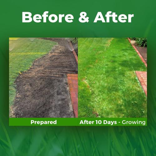 Growtrax 200 Sq Ft Biodegradable Kentucky Blue and Perennial Rye Blend Grass Seed Mat - Mix & Fertilizer Mat for Ball Fields, Parks, & Residential Lawns