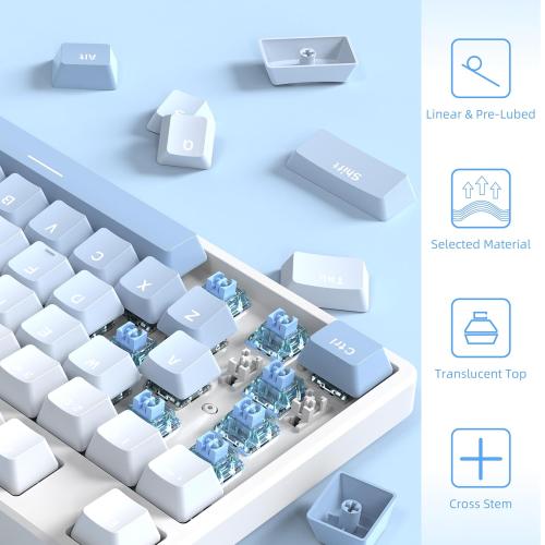 MAGIC-REFINER x Jelly Blue Switches for Mechanical Keyboard DIY, 50gf Tactile Keyswitch 3 Pins, Factory Pre Lubed with POM Stem Compatible for MX Mechanical Keyboard Switch Set (100PCS)
