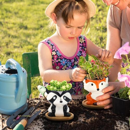 Small Ceramic Succulent Pots - 6 Pack 3 Cartoon Animal Shape Planters Indoor & Outdoor with Drain Holes and Bamboo Tray for Succulents, and Herbs
