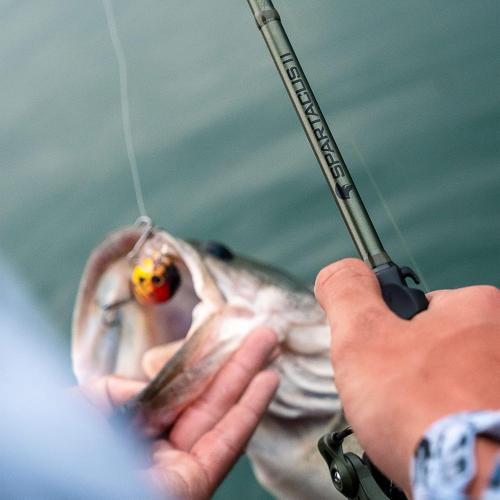 KastKing Spartacus II Twin-Tip Spinning & Casting Fishing Rods | 2-Piece Rods with Extra Tip Section, IM6 Graphite Blanks, PTS Power Transition System, KastFlex Tech, Rubber Cork Handle