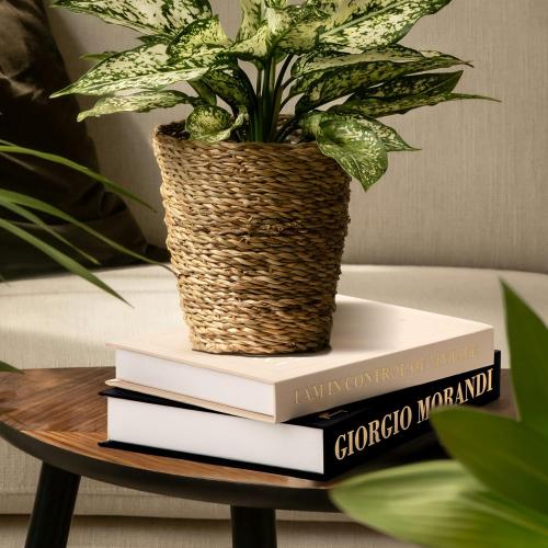 Decorative Books for Home Decor - Set of 2 Fake Books for Decoration, Faux Book Storage Box Enhance Your Coffee Table, Bookshelf & Mantel Shelf Decor, Linen Book Decor Aesthetic Set, Books Decor