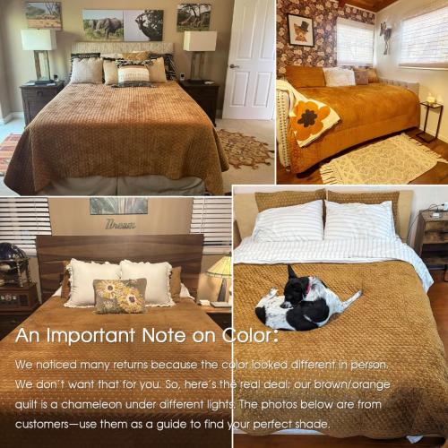 Powdion Luxury Velvet Quilt King Size, Lightweight 3PCS King Quilt Bedding Set with 2 Pillow Shams 20x26, Oversized Queen Bedspread, All-Season Ultra-Soft Comforter for Bedroom Home Decor Caramel Gold