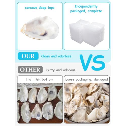 9 Pcs Oyster Shells for Crafts， 3-4 Large Oyster Shell for Crafts，Oyster Shell for Christmas 、Painting、 Beach Themes、 Wedding, Home Shells for Decoration and Sea Shells for Crafting