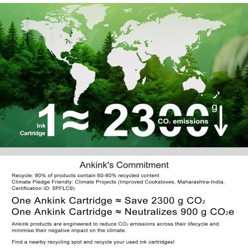62XL Ink Cartridge Replacement for HP Ink 62 62XL HP62 Black Color Cartridges Combo Pack Work for 5540 5542 5545 5640 5642 5660 5664 5665 7640 7645 8000 200 250 5740 5742 5743 5745 8040 Printers