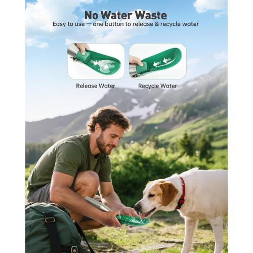 Stainless Steel Dog Water Bottle - 27 oz
