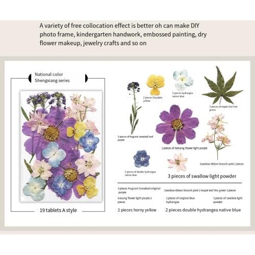 DIY photo album and dried flower embossed decorative plant specimens for accordion creative folding pages (6 * 8), Grey