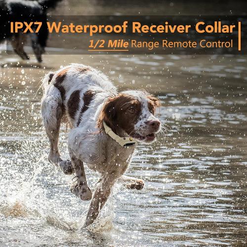 Dog Training Collar 2 Dogs with APP Control - 1/2 Mile Range E Collar for Dogs, Bluetooth-Enabled Waterproof Electric Collar for Large Dogs (15-140 lbs)