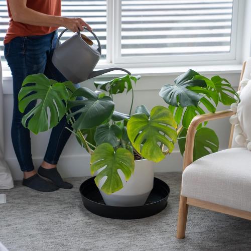 Garden Hour 18 Pack of 2 Large Plant Saucers for Potted Plants & Felt Mat for Floor Protection - Plastic Plant Trays for Indoors No Holes - Extra-Deep Drip Trays for Potted Plants - 18W x 3D in.