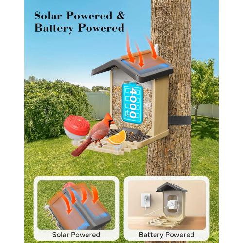 Bird Feeder with Camera Solar Powered, Bird Feeders for Outdoors with DIY Add-ons - Honey Jar & Fruit Fork & Squirrel Proof Net & 32GB SD Card, AI Identify Birds, Ideal Present for Birdlover