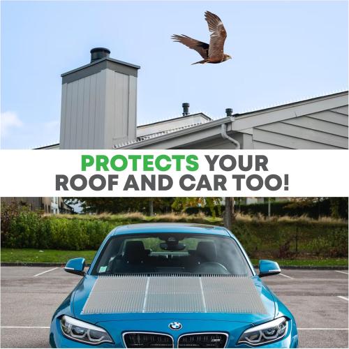 Petfolio 12 Pack Scat Mat for Cats - 16 x 13 Inch Cat Spike Mat with 1 Inch Spike is A Perfect Pet Training Mat Device for Cat Repellent Indoor & Outdoor to Deter Cats & Other Animals for All Seasons