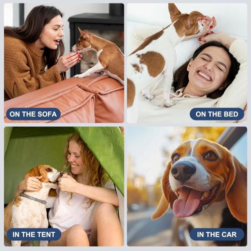 wegreeco Small Dog Diapers Male,Reusable Belly Bands for Male Dogs,Washable Doggie Puppy Diapers Wraps,Medium Large Size(5 Pack Small)