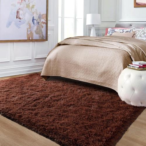 Area Rug Brown Large Living Room Fluffy Carpet for Bedroom Dorm, Non-Slip High Pile, Coffee Modern Big Shag Rug for Classroom Kids Playroom Nursery Home Office Decor