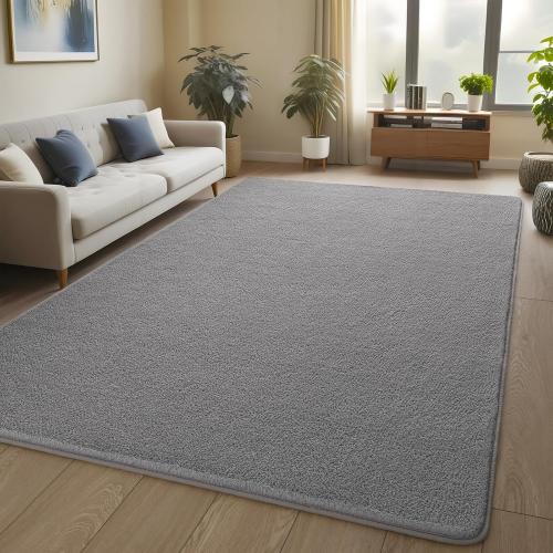 Pettop Area Rugs for Bedroom Living Room, 4x6 Grey Thickened Memory-Foam Indoor Carpets, Modern Aesthetic Minimalist Super Soft Comfy Carpet for Boys Girls Adults Room Dorm Home Decor