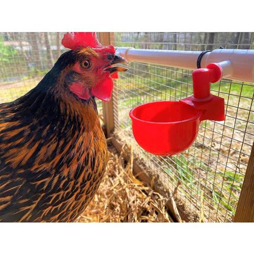 Automatic Chicken Watering System with PVC Pipe (Real Complete Set Pipeline) - 1/2 PVC Tee Fittings & Pipe & Garden Hose Connect to Water Tank, Automatic Poultry Waterer Feeder Kit