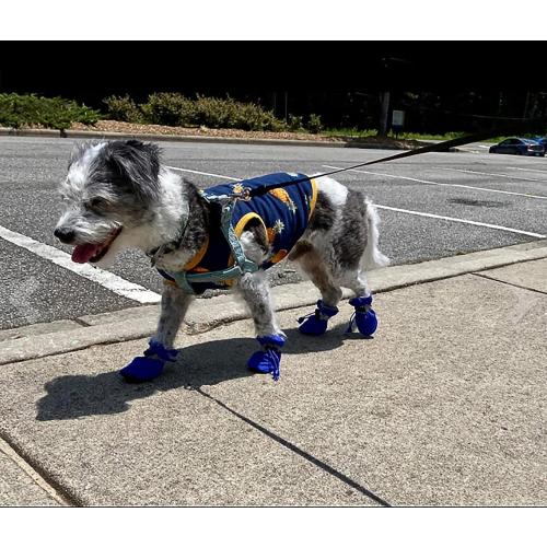 YAODHAOD Dog Shoes for Small Dogs, Puppy Dog Boots & Paw Protector for Winter Snowy Days, Anti-Slip Sole Dog Booties for Indoor Hardwood Floor 4PCS (Blue,Size: 2)