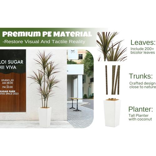 Size 6ft Artificial Dracaena Marginata Bicolor Tree 6FT with 200 Leaves & 5 Heads & White Tall Planter Cover with Coconut Fiber Tall Faux Tropical Yucca Silk Plant for Indoor Home Office Porch Decor