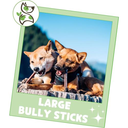 Nature Gnaws Large Bully Sticks for Dogs 11-12 (10 Count) - Thick Long Lasting for Aggressive Chewers and Large Dogs - Natural Beef Dog Chew Bones