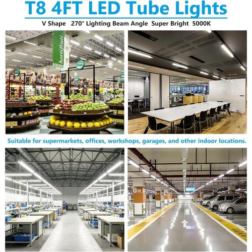 4 Foot 5000K T8 LED Bulbs T12 Fluorescent Tube Replacement | 36W 3600LM, G13 Big-Pin, F32T8 F40T12 LED Replacement, Dual-End Powered Type B Ballast Bypass Shop Lighting