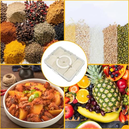 NineRun Condiment Serving Tray, Divided Serving Tray 9 Compartments Multifunctional Airtight Plastic Seasoning Platter with Lid and Handle for Home Picnic, SIXRUN5qo1tggp42