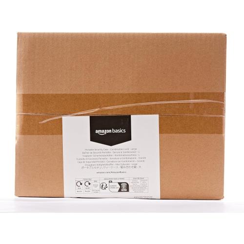 Amazon Basics Portable Security Case Lock Box Safe, Small Lock Box with Code, for College Dorm Room, Home, Combination Lock, Large, Black