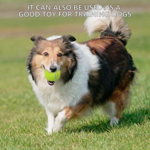 Tennis Balls, 80 Pack Training Tennis Balls Bulk, High Elasticity Practice Tennis for Beginner, Exercise Playing Balls for Pet Dog