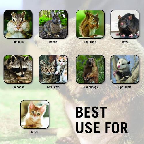 HOMESTEAD Heavy Duty Live Trap - Professional Style One-Door Live Animal Traps for Rabbit, Squirrel, Possum, Skunk, Kitten, Mink Small