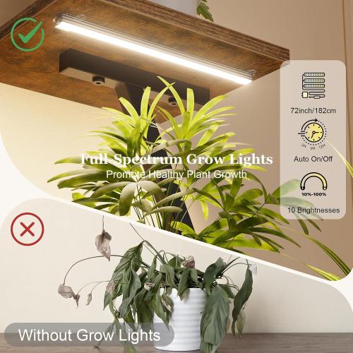 Plant Stand Indoor with Grow Light - Lighted Indoor Plant Shelf Tall 2 Pack