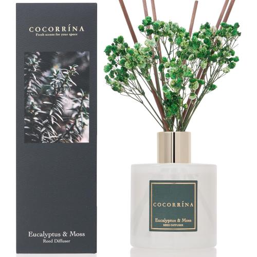 Cocorrína Reed Diffuser Sets- Eucalyptus & Moss Scented Diffuser with Sticks Home Fragrance Reed Diffuser for Bathroom Shelf Decor