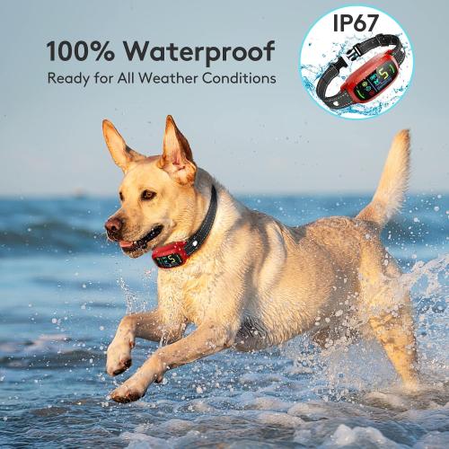 Bark Collar, Rechargeable Dog Bark Collar with 5 Adjustable Sensitivity and Intensity Beep Vibration Shock, Anti Barking Collar for Small Medium Large Dogs… (Red)