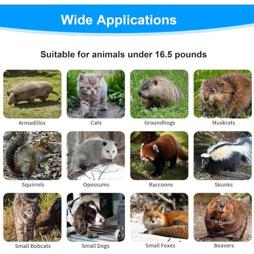 32 Live Animal Trap Cage, Heavy Duty Folding Live Animal Cage Trap for Stray Cats, Raccoons, Squirrels, Rabbits, Opossums, Groundhogs, Armadillos up to 16.5 lbs - 32 L x 11 W x 13 H