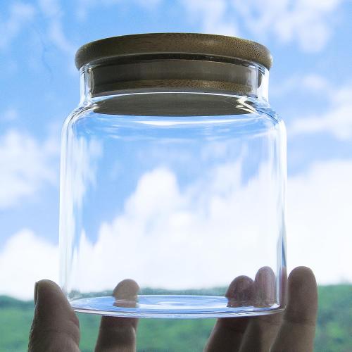 17.6 fl oz Glass Storage Containers with Lids,Candy Jar with Lid, Glass Food Storage Containers for Kitchen Counter, Pantry, Decorative Jar for Coffee, Sugar,Tea, Cute Jar (Bamboo 17.6 FL OZ)
