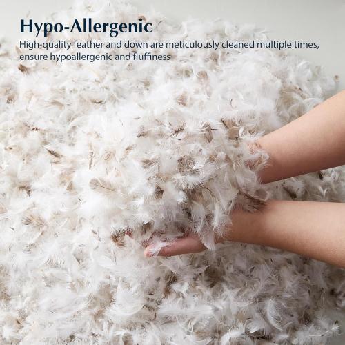 Pacific Coast Goose Feather and Down Bed Pillows Standard Size Set of 2, Hotel Pillow for Sleeping, Downproof, Soft, Fluffy, 100% Cotton Shell