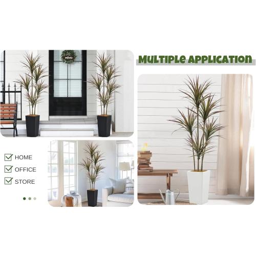 Size 6ft Artificial Dracaena Marginata Bicolor Tree 6FT with 200 Leaves & 5 Heads & White Tall Planter Cover with Coconut Fiber Tall Faux Tropical Yucca Silk Plant for Indoor Home Office Porch Decor